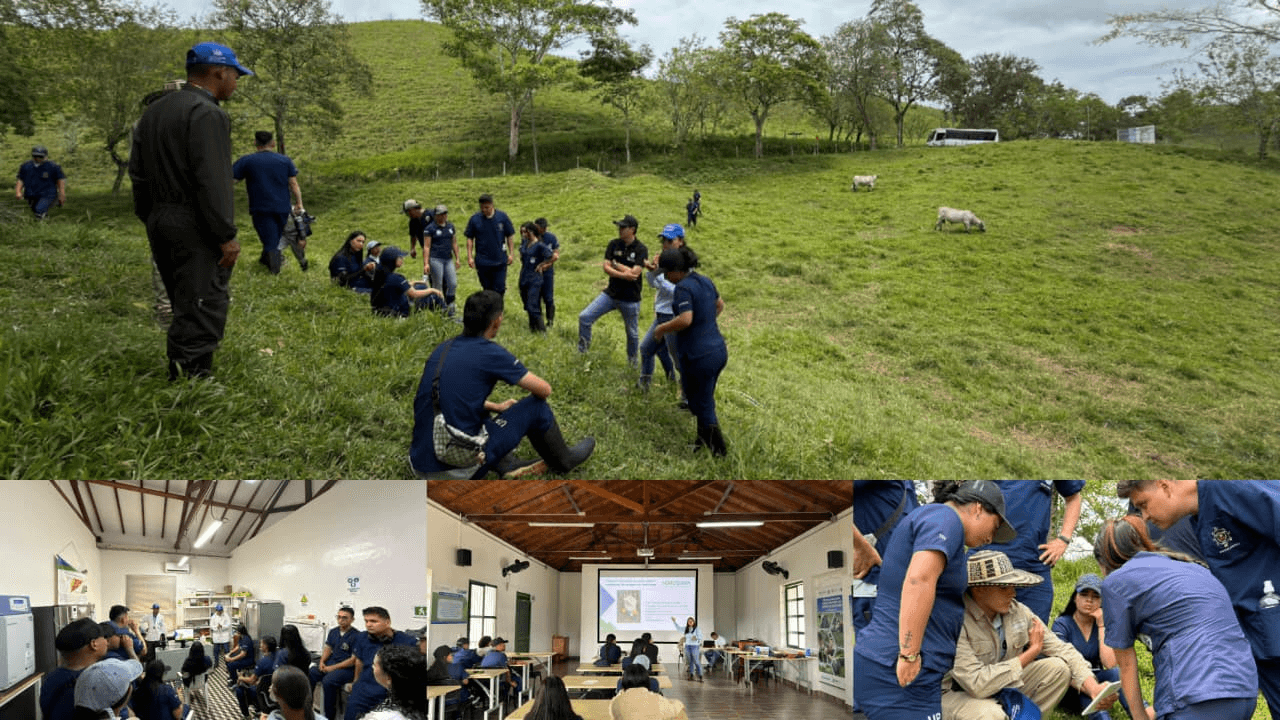 Formación práctica en mitigación de metano para los profesionales agropecuarios del futuro