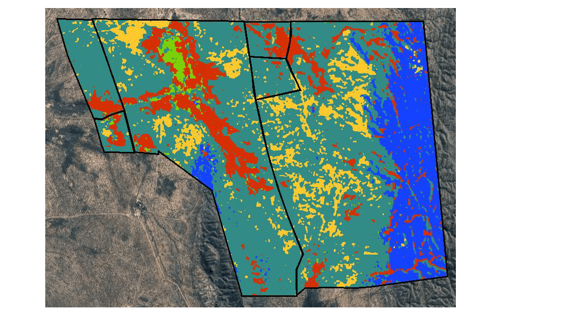 Precision livestock farming to produce more calves with a lower environmental footprint