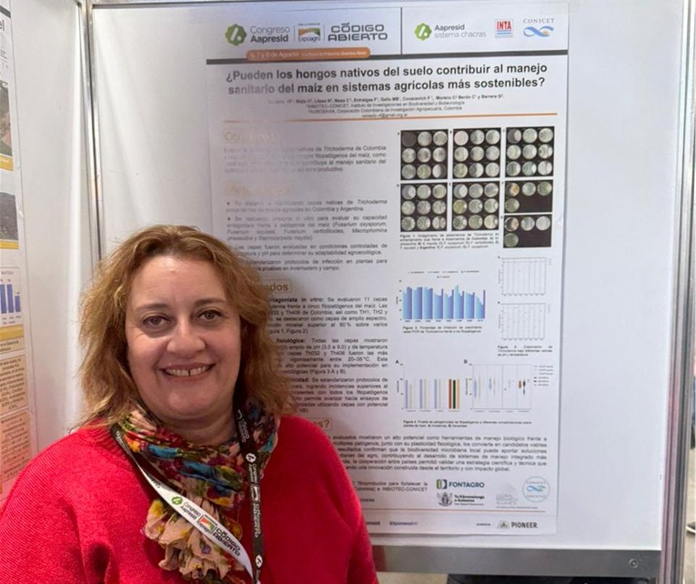 Research on Native Fungi for Maize Health Management Presented at AAPRESID 2025