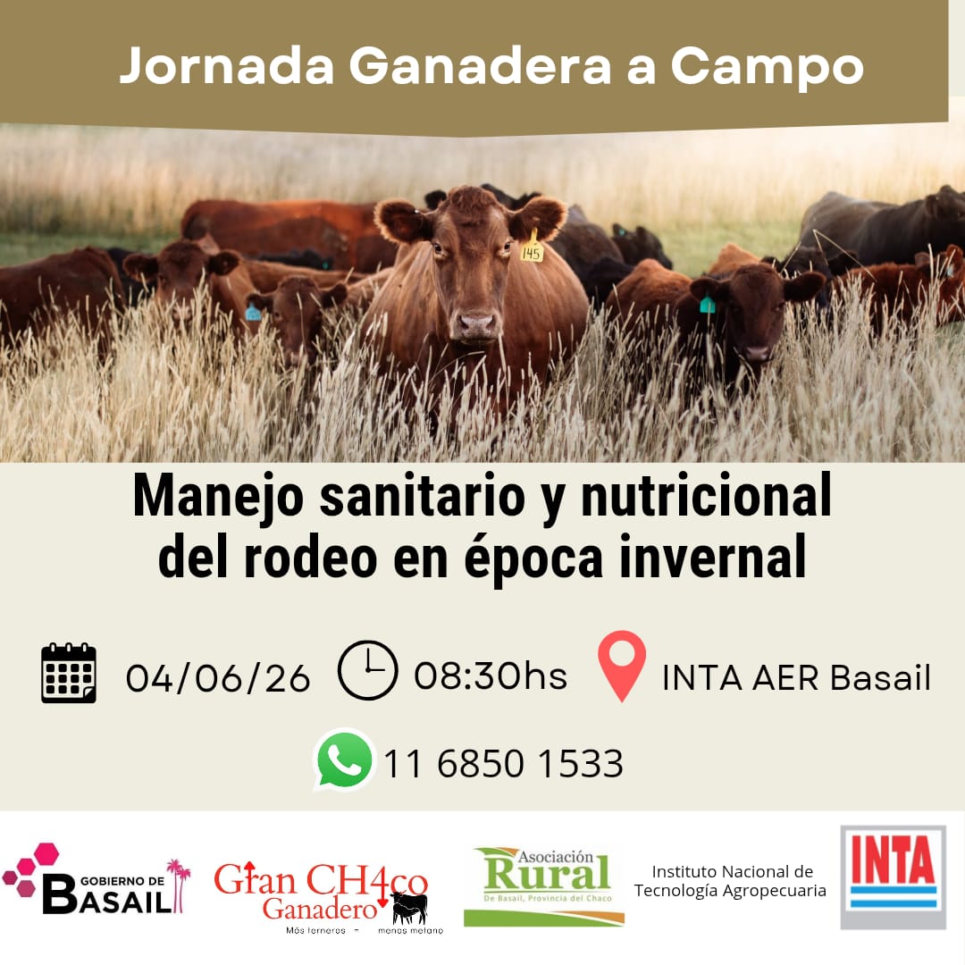 The "More Calves, Less Methane" Project Drives Winter Management and Livestock Efficiency in Basail