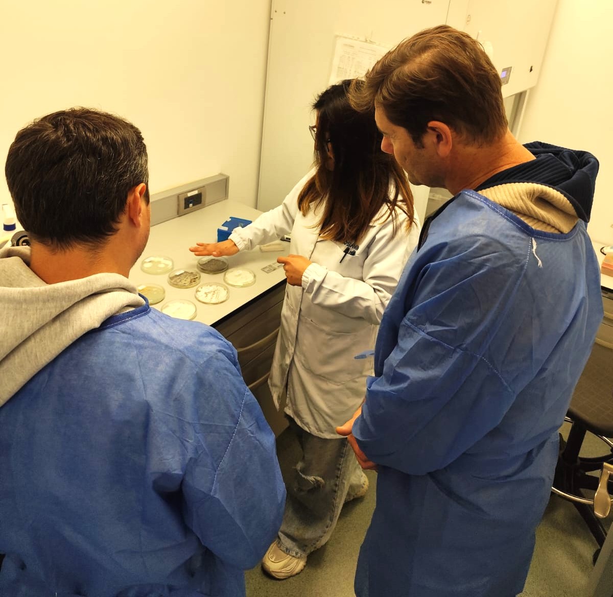 New Zealand Delegation Visits Colombia to Learn About FONTAGRO Project Advances