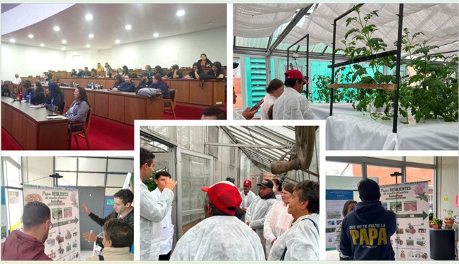 AndesPapa Project – International Day of the Potato