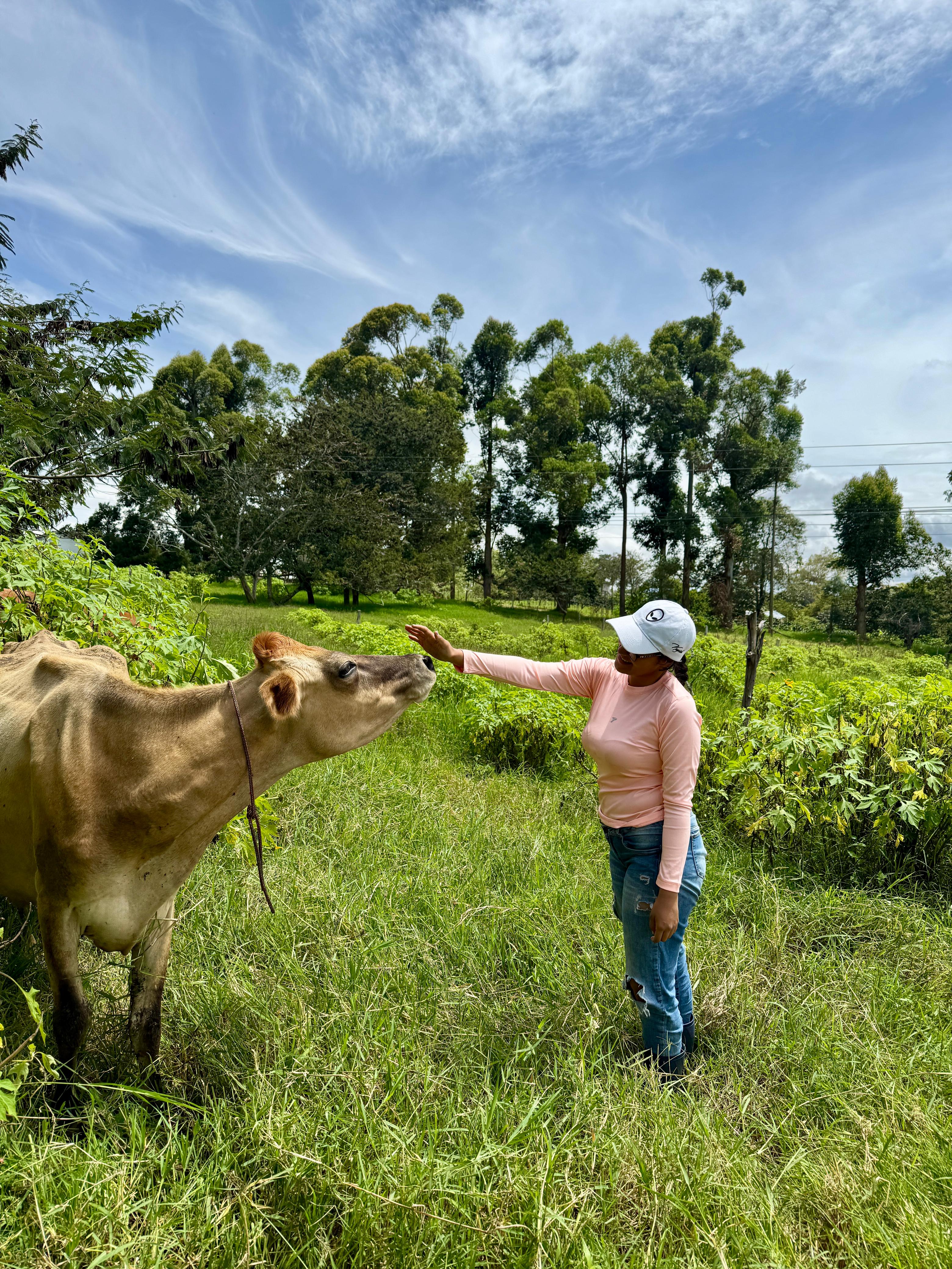 Silvopasture with buttercup improves the productivity and profitability of dairy farming