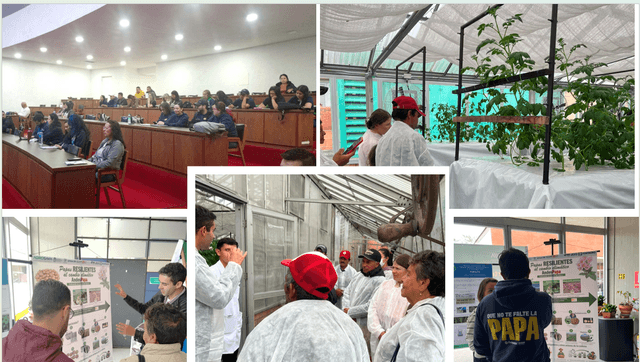 Proyecto AndesPapa – Día Internacional de la papa