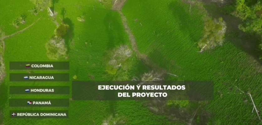Voces del territorio: El valor del frijol rico en hierro contado por sus protagonistas