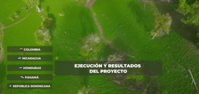 Voces del territorio: El valor del frijol rico en hierro contado por sus protagonistas