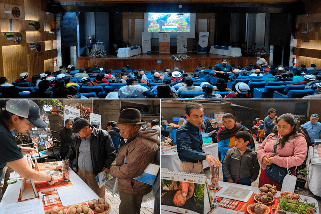 Día Nacional de la Papa en Ecuador