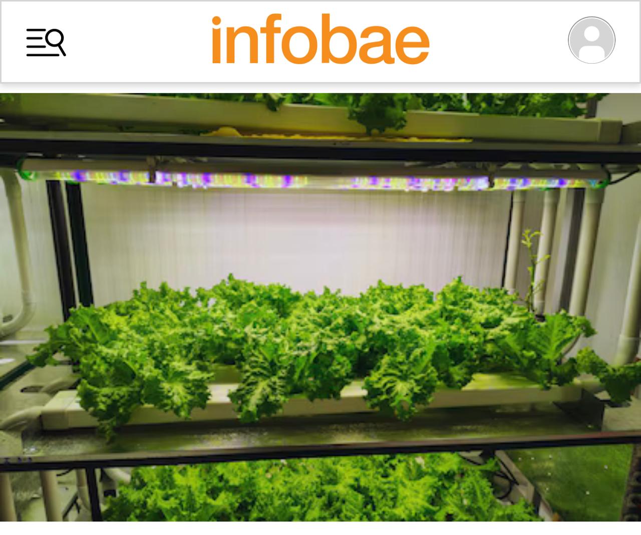 Agricultura vertical: más producción con menos agua y espacio