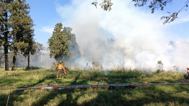 El fuego planificado como herramienta para una ganadería más sostenible