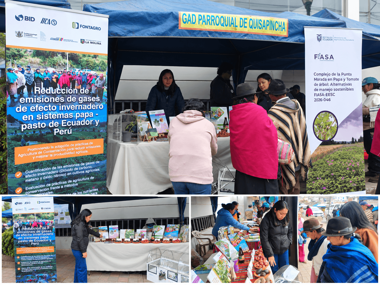 Avances del proyecto GEI en sistemas papa-pasto de Ecuador y Perú se presentan en Quisapincha