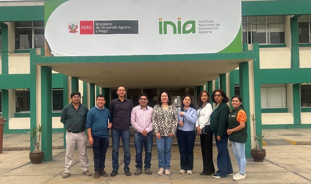 Institutions from Four Andean Countries Drive Avocado Quality and Sustainability