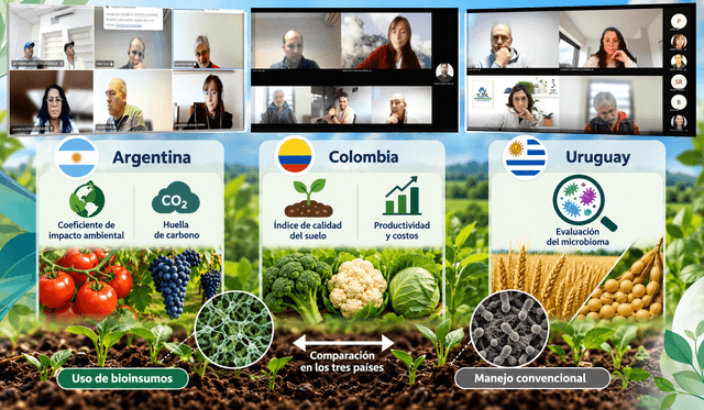 Definition of methodologies for measuring soil and crop health indicators