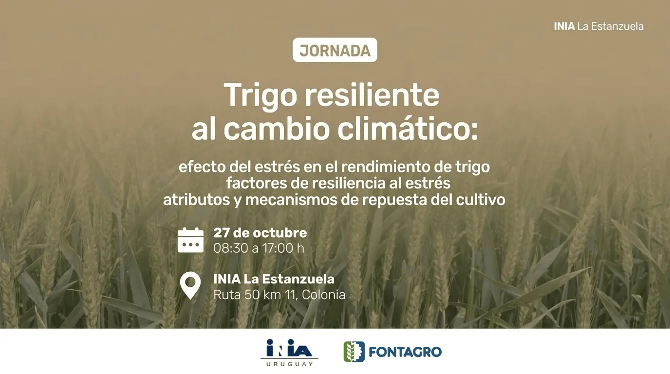 Jornada de campo Trigos Resilientes al Cambio Climático