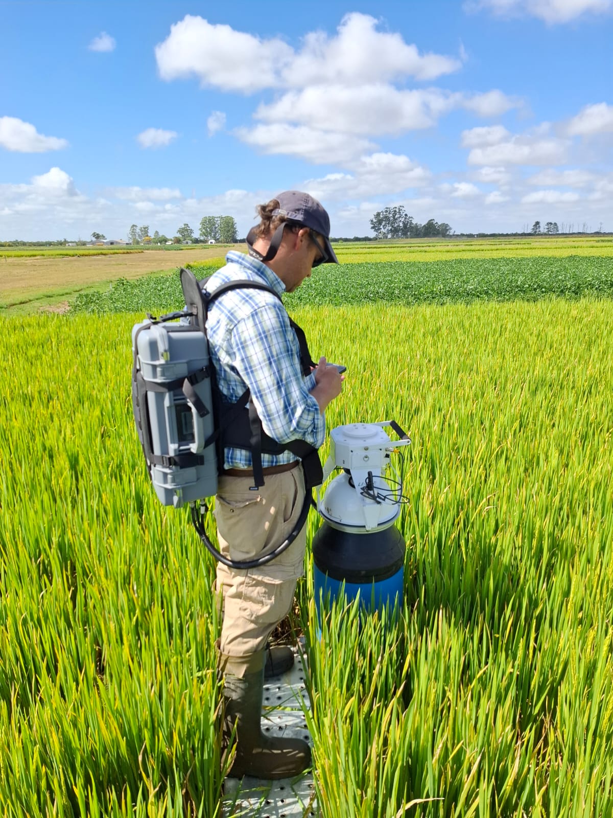 Producir Conservando y Conservar Produciendo - La estrategia del Arroz