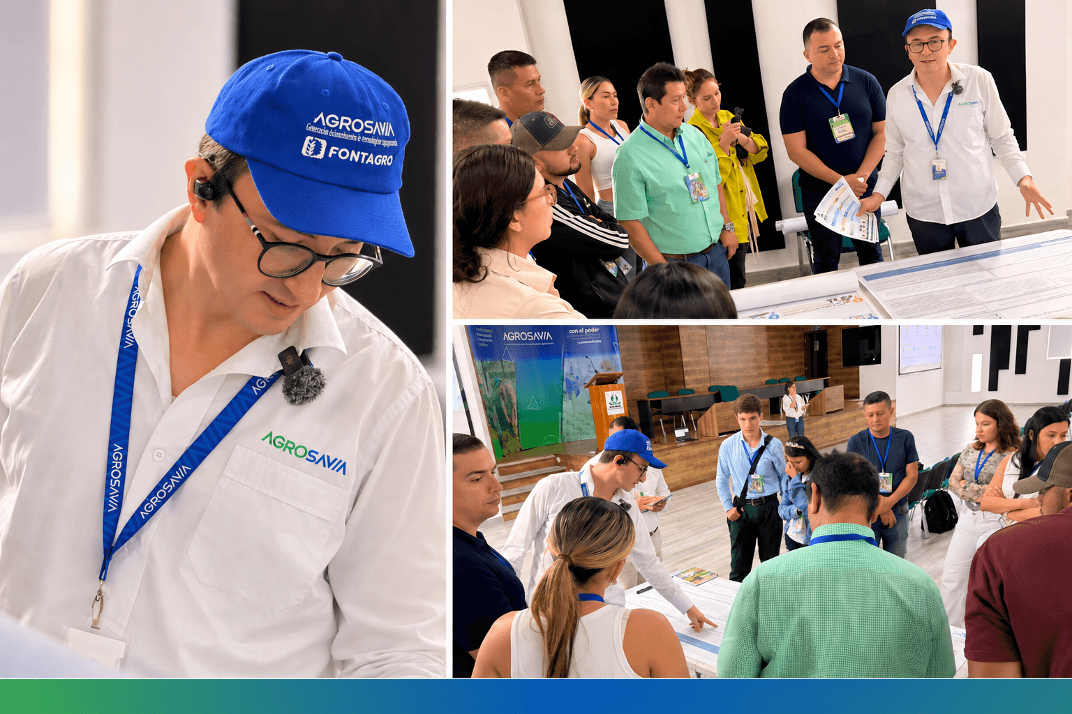Maíz bajo presión: sequía y achaparramiento del maíz en Tolima, protagonistas del Encuentro Linkata