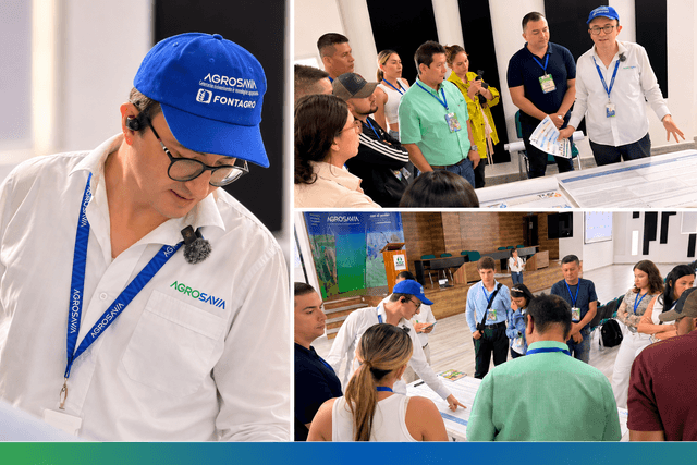 Maíz bajo presión: sequía y achaparramiento del maíz en Tolima, protagonistas del Encuentro Linkata