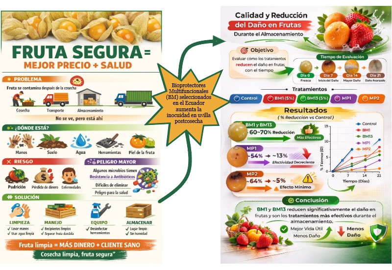 Reducción comprobada de carga microbiana tras la aplicación de bioprotectores en frutas frescas.
