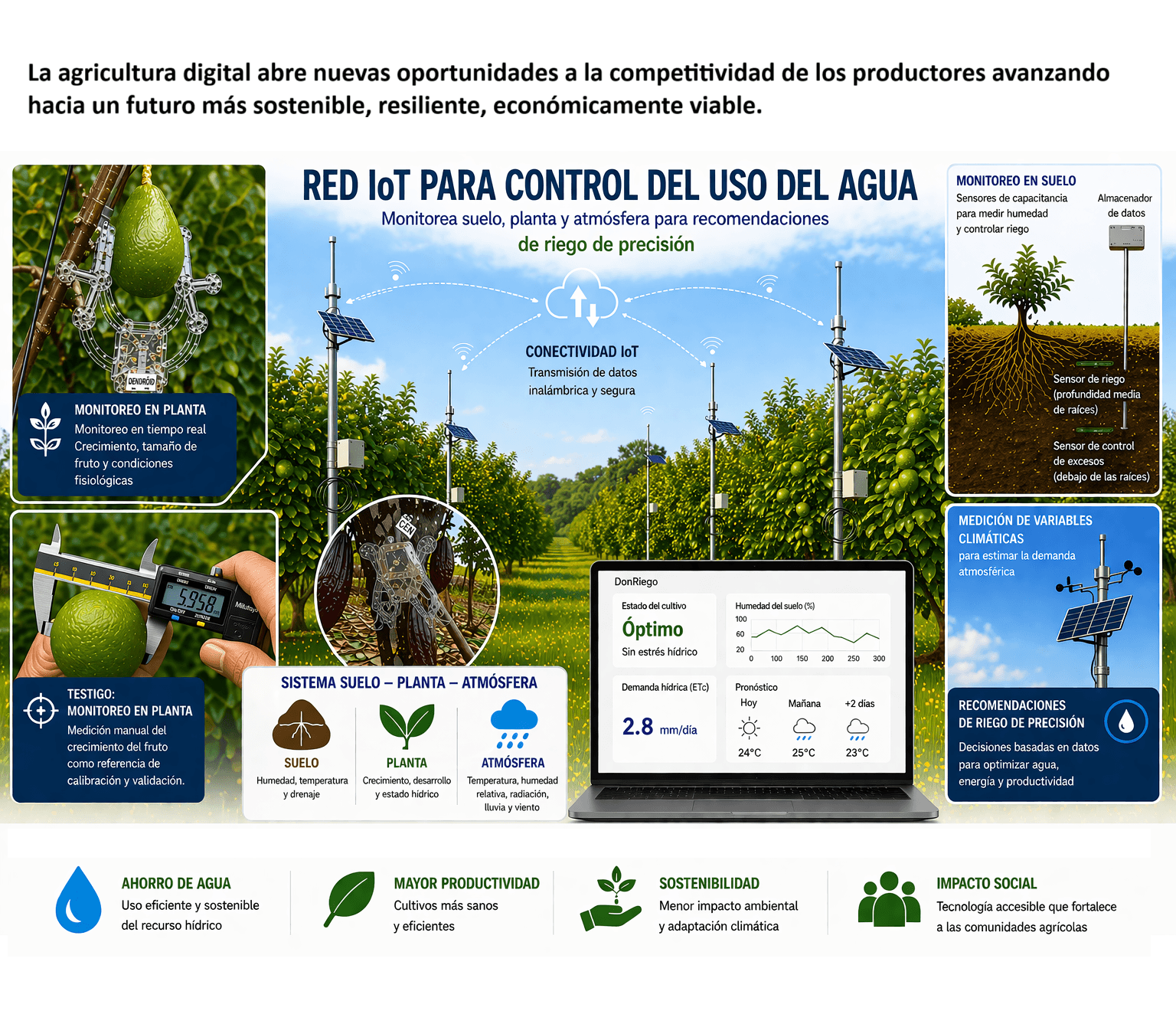 Agricultura Tropical 4.0: gestión eficiente del agua