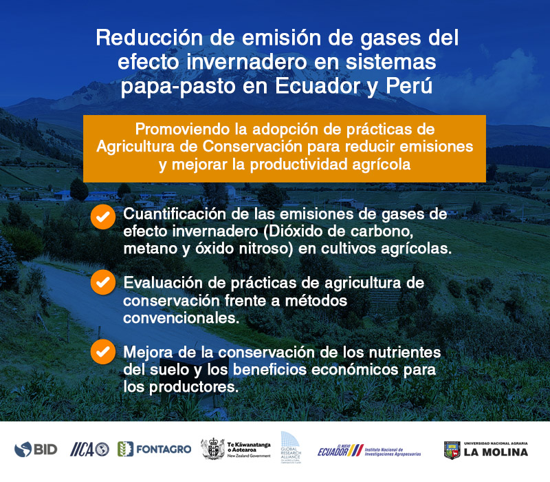 Cultivando un Futuro Sostenible: Estrategias para reducir GEI en los sistemas papa-pasto de Ecuador y Perú