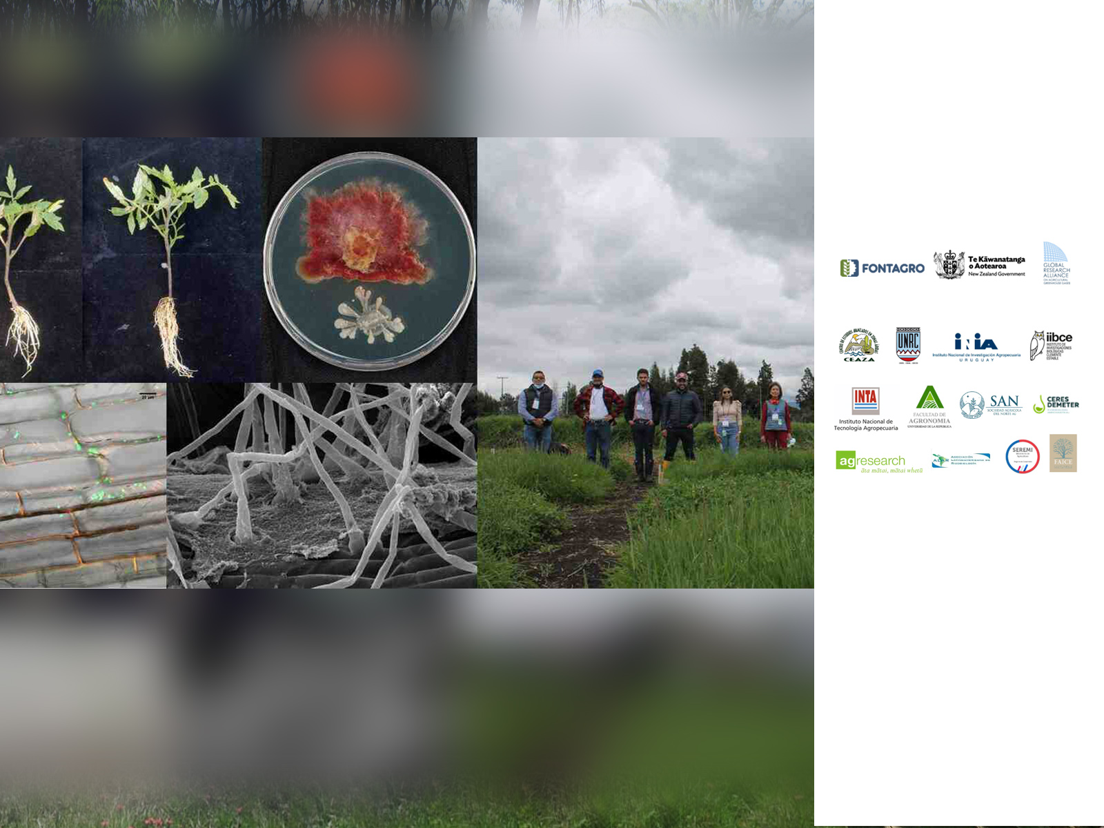 Project Story Image
