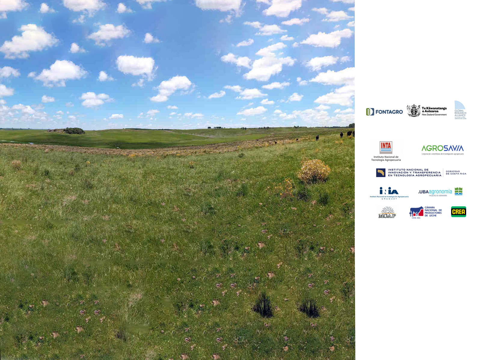 Project Story Image