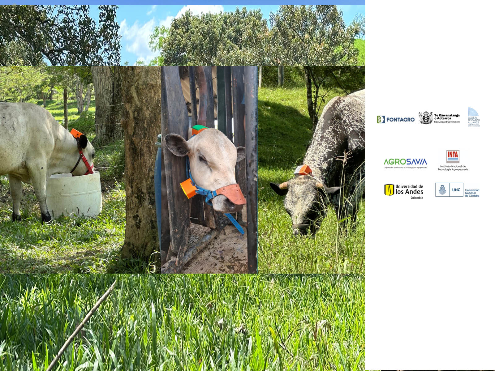 impact story image