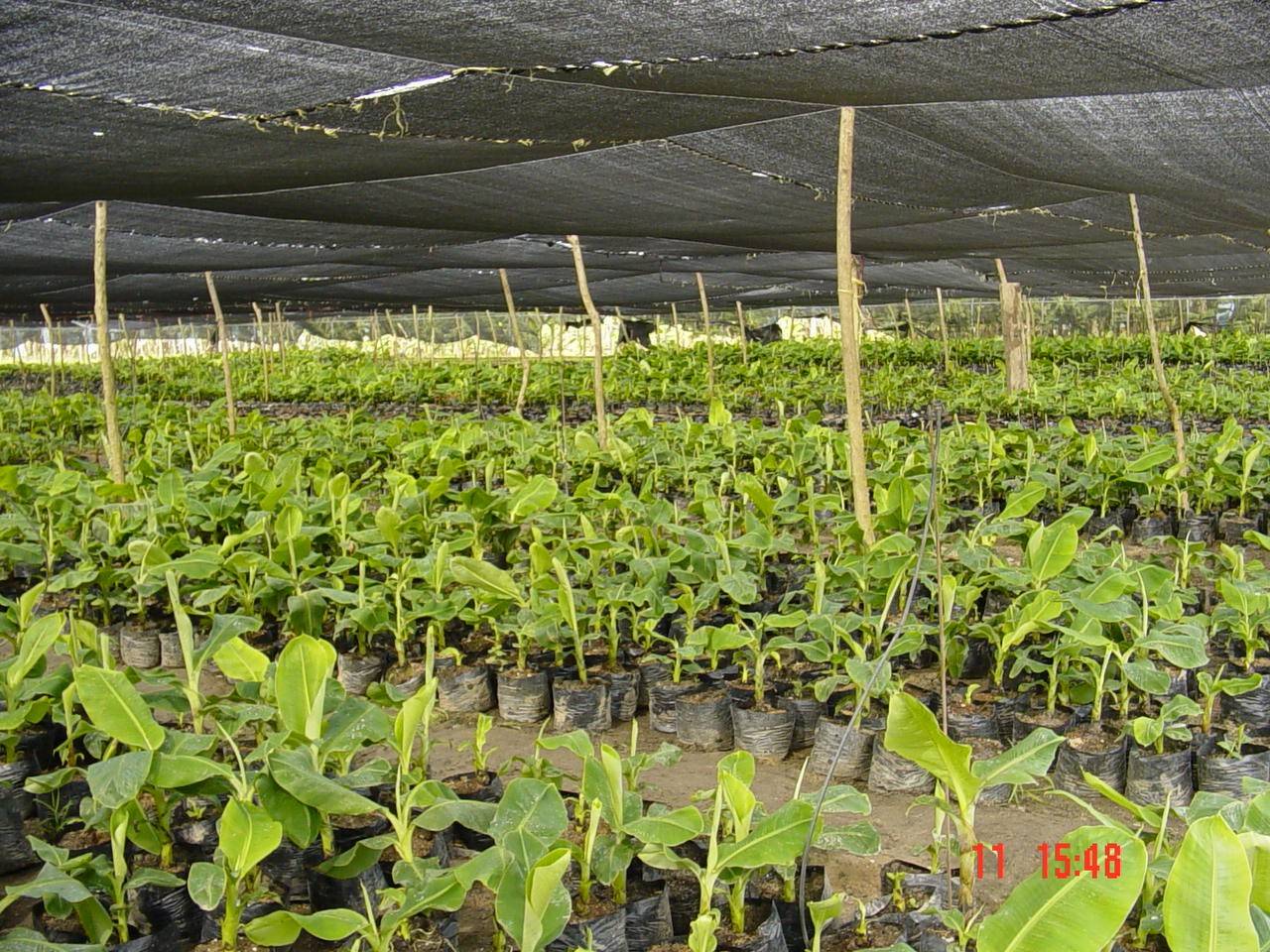 Project Story Image