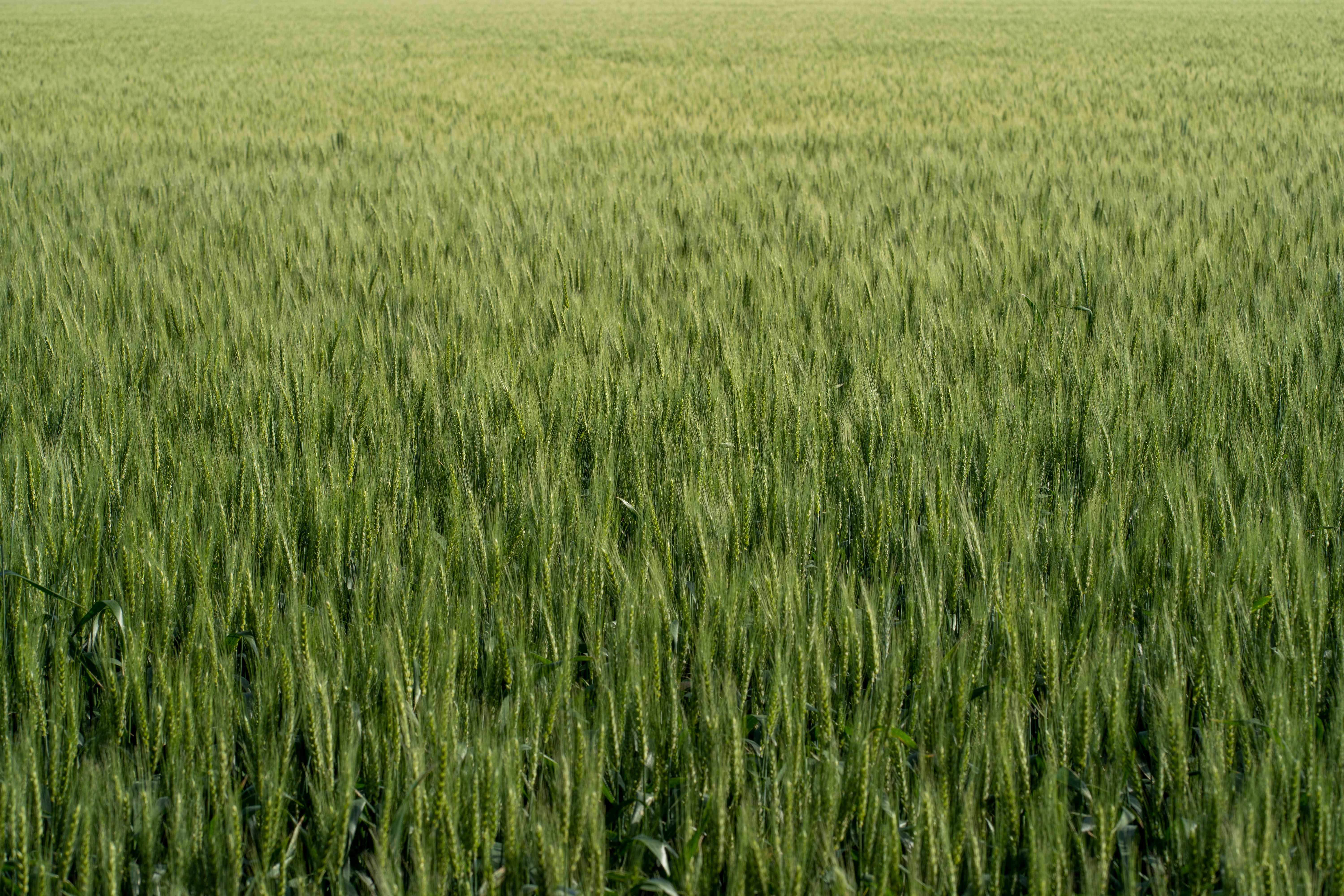 Project Story Image
