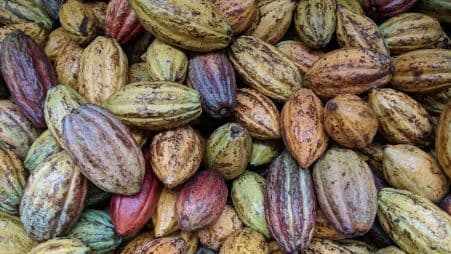 Indicaciones Geográficas para el Cacao Mesoamericano