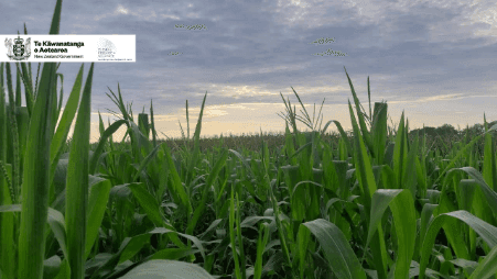 Aprovechamiento de bioproductos para fortalecer la resiliencia climática