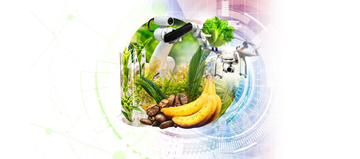 Semana de la Ciencia 2025
