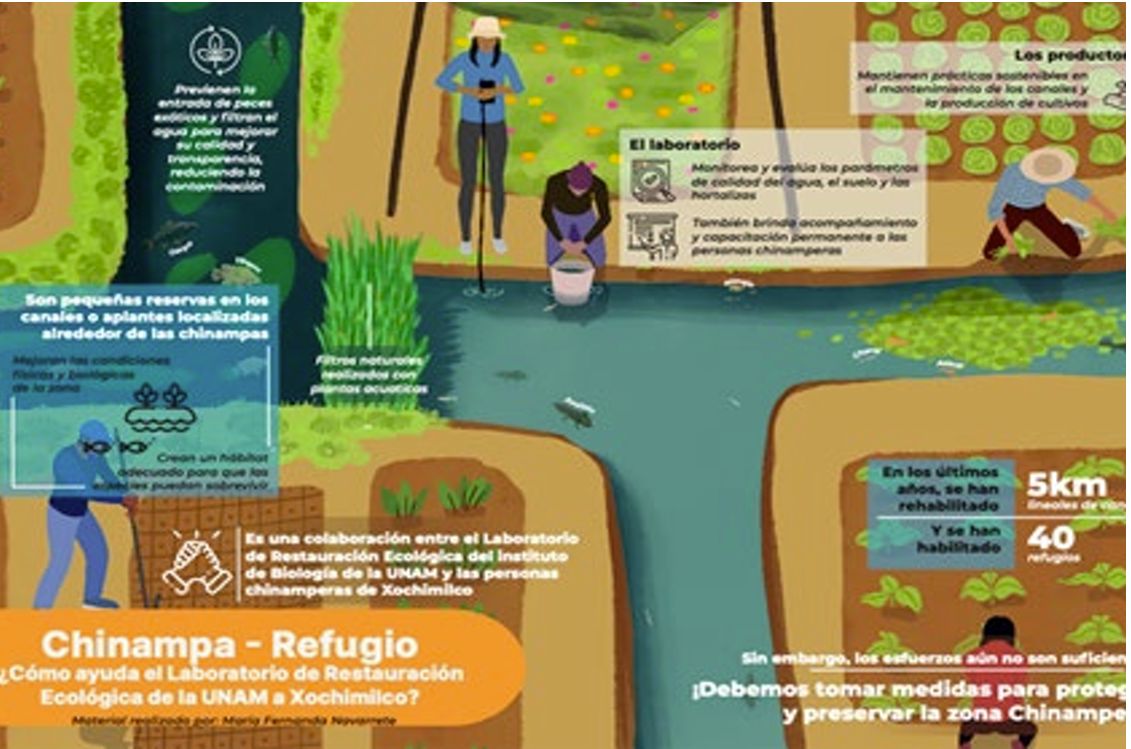 Chinampas 2.0: Tecnología y tradición en el corazón de México