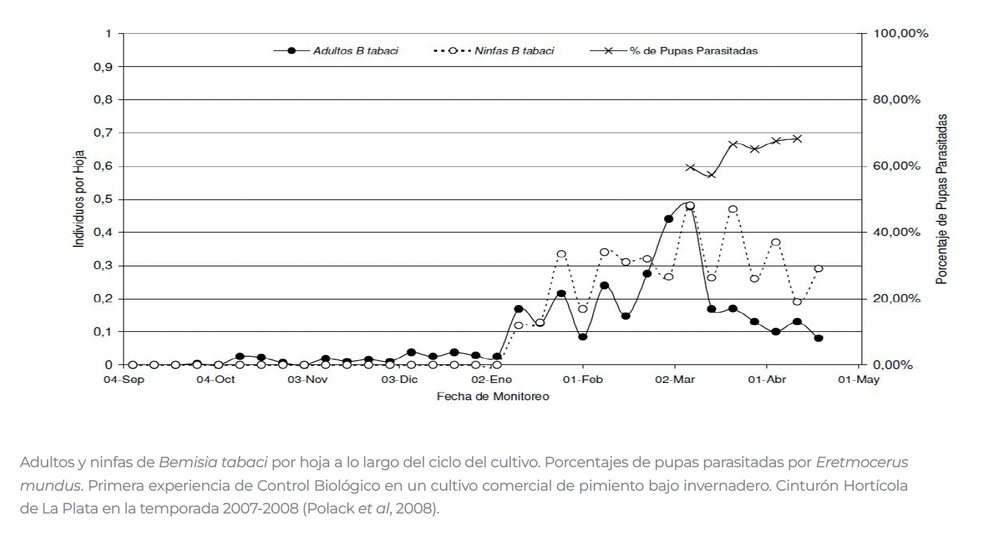 Biological Control in Peppers: An Analysis of Eretmocerus mundus Parasitism