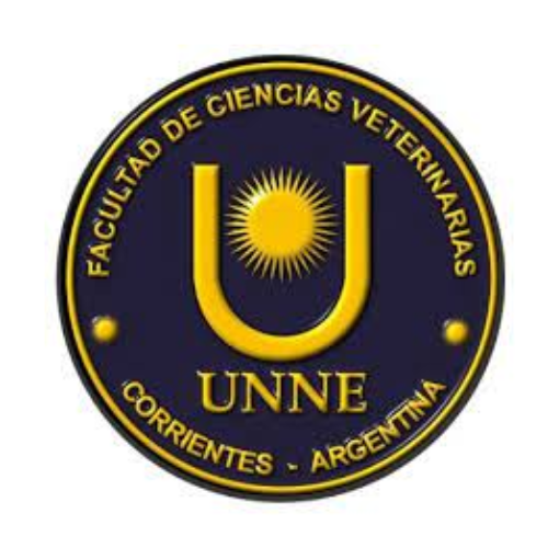 FCV-UNNE