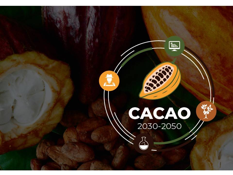 Plataforma multiagencia de cacao para América Latina y el Caribe “Cacao